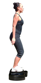 New_Reviber_Exercise_Plate_only_£169